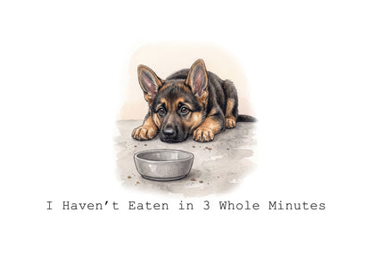 Life According to a German Shepherd Calendar Limited Release