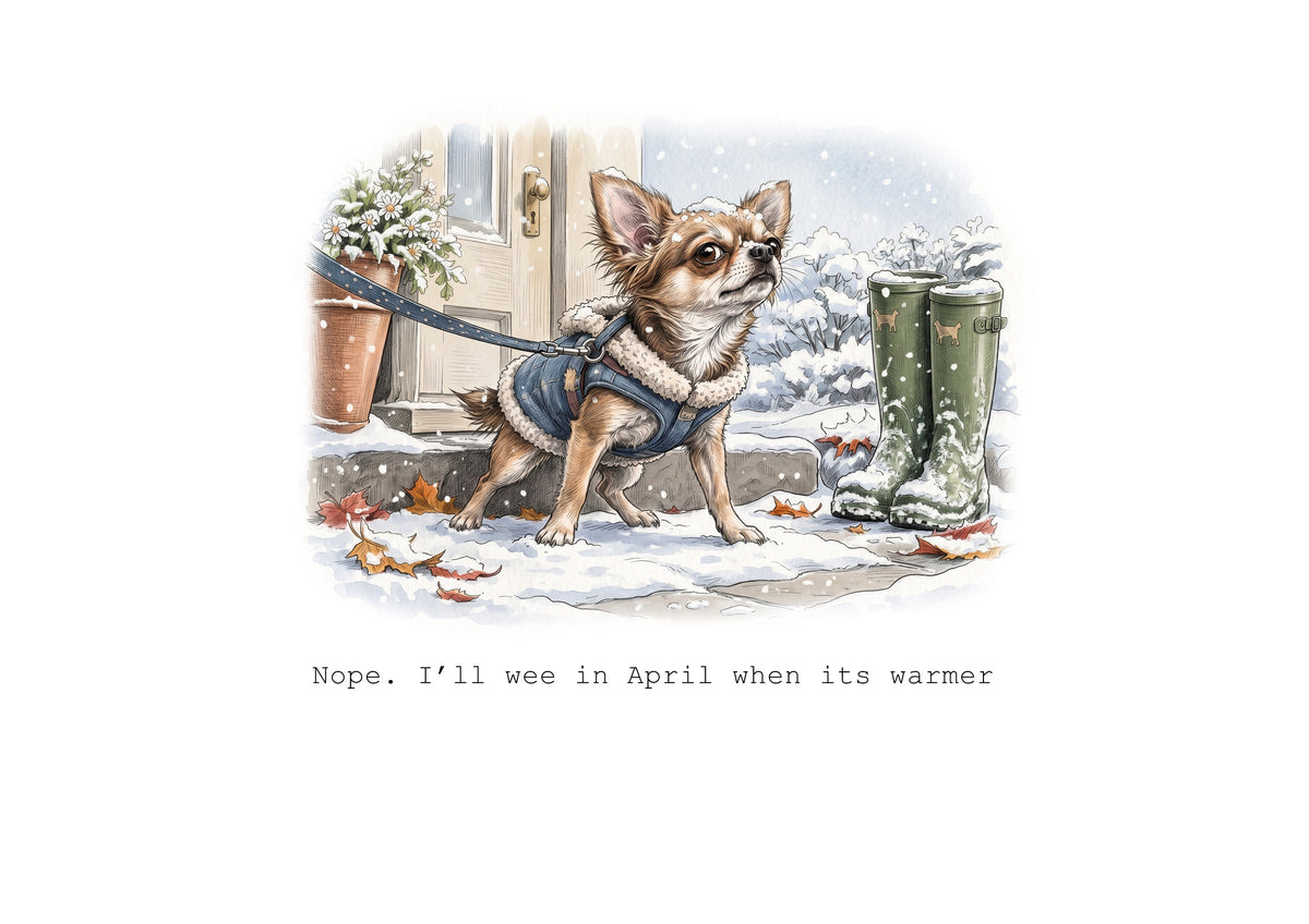 Chihuahua Chaos Calendar Limited Release