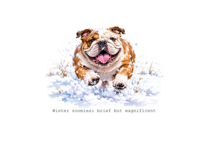 Absolutely Bulldogged Calendar Limited Release
