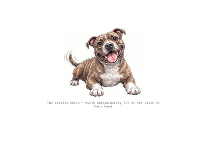 Absolutely Staffied Calendar Limited Release