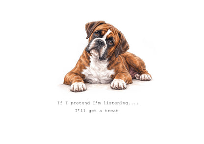 Life is Better with Boxers Calendar Limited Release