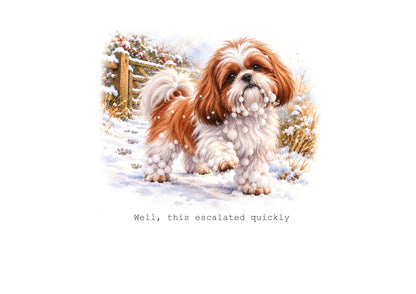 Shih Tzu Calendar Limited Release