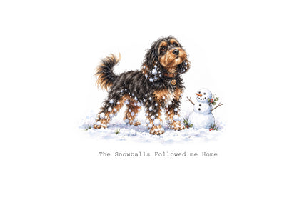 Cavapoo Calendar 2027 Limited Release
