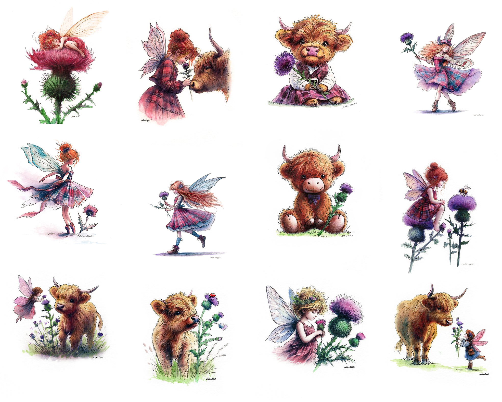 Flower of Scotland 2026 Calendar