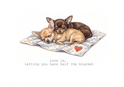 Chihuahua Chaos Calendar Limited Release
