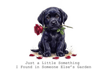 A Labradors Life Calendar Limited Release