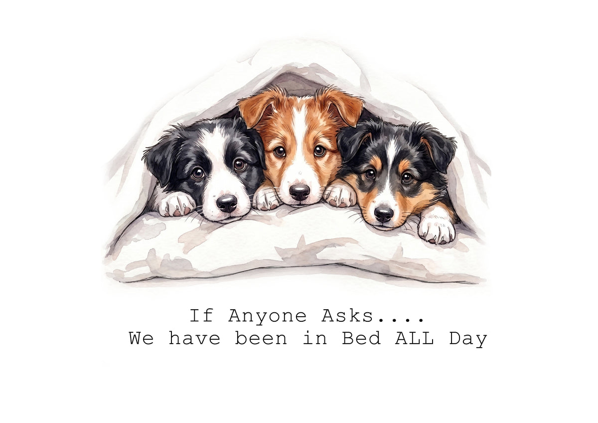 Collie Wobbles Calendar Limited Release