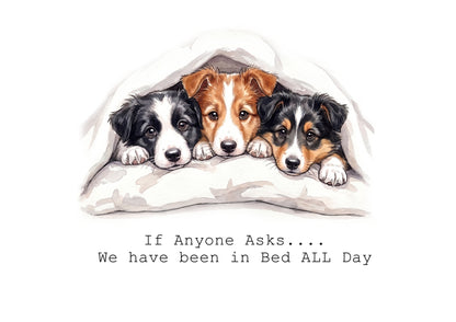 Collie Wobbles Calendar Limited Release