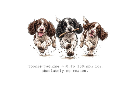 Spring into Spaniels Calendar Limited Release
