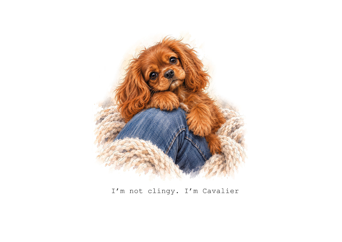 Cavalier King Charles Spaniels Calendar Limited Release