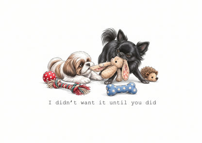Chihuahua Chaos Calendar Limited Release