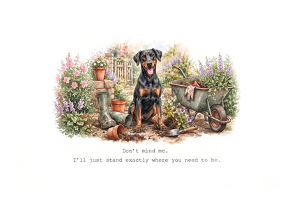 Doberman Calendar 2027 Limited Release