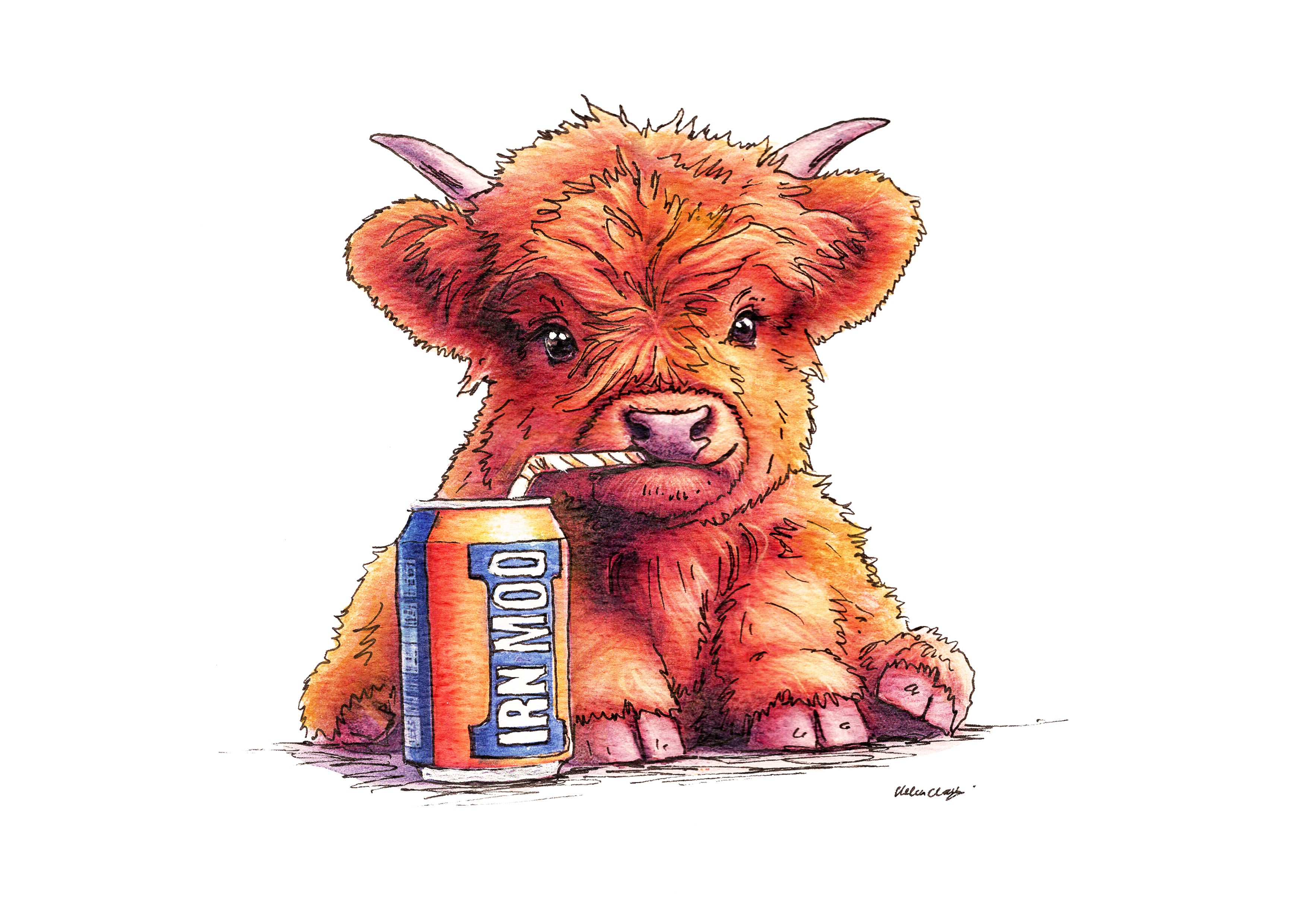 Wee Scottish Moos 2026 Calendar
