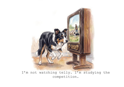 Collie Wobbles Calendar Limited Release