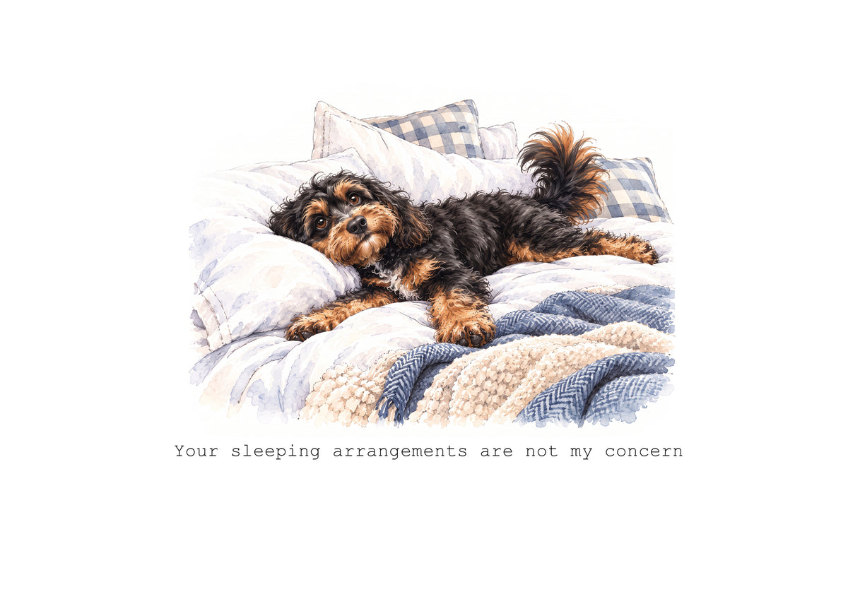Cavapoo Calendar 2027 Limited Release