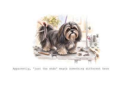 Lhasa Apso Calendar 2027 Limited Release