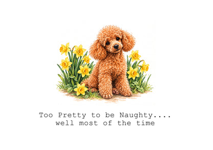 Poodles Calendar Limited Release
