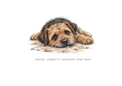 Border Terrier Calendar Limited Release