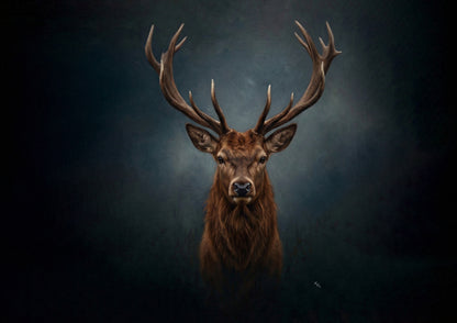 Beauty of the Highlands 2027 Calendar