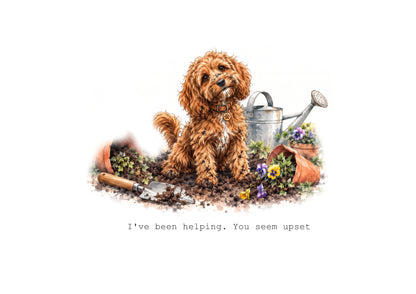 Cavapoo Calendar 2027 Limited Release