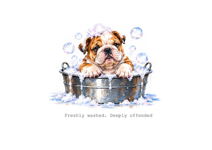 Absolutely Bulldogged Calendar Limited Release