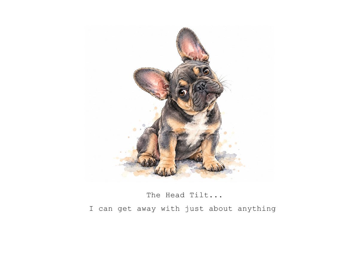 Frenchie Frolics Calendar Limited Release