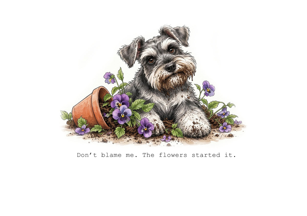 Miniature Schnuazer Calendar Limited Release
