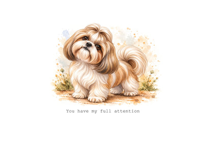 Shih Tzu Calendar Limited Release