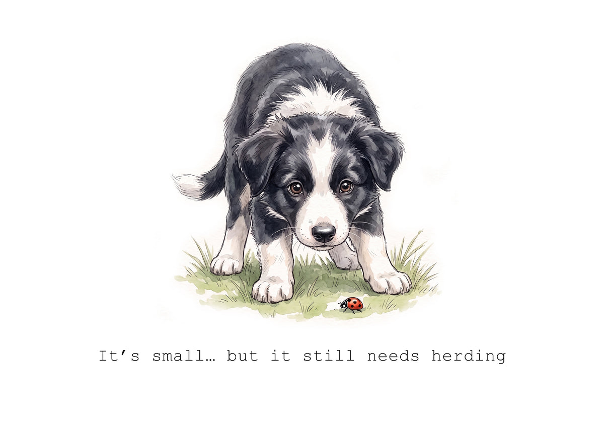 Collie Wobbles Calendar Limited Release