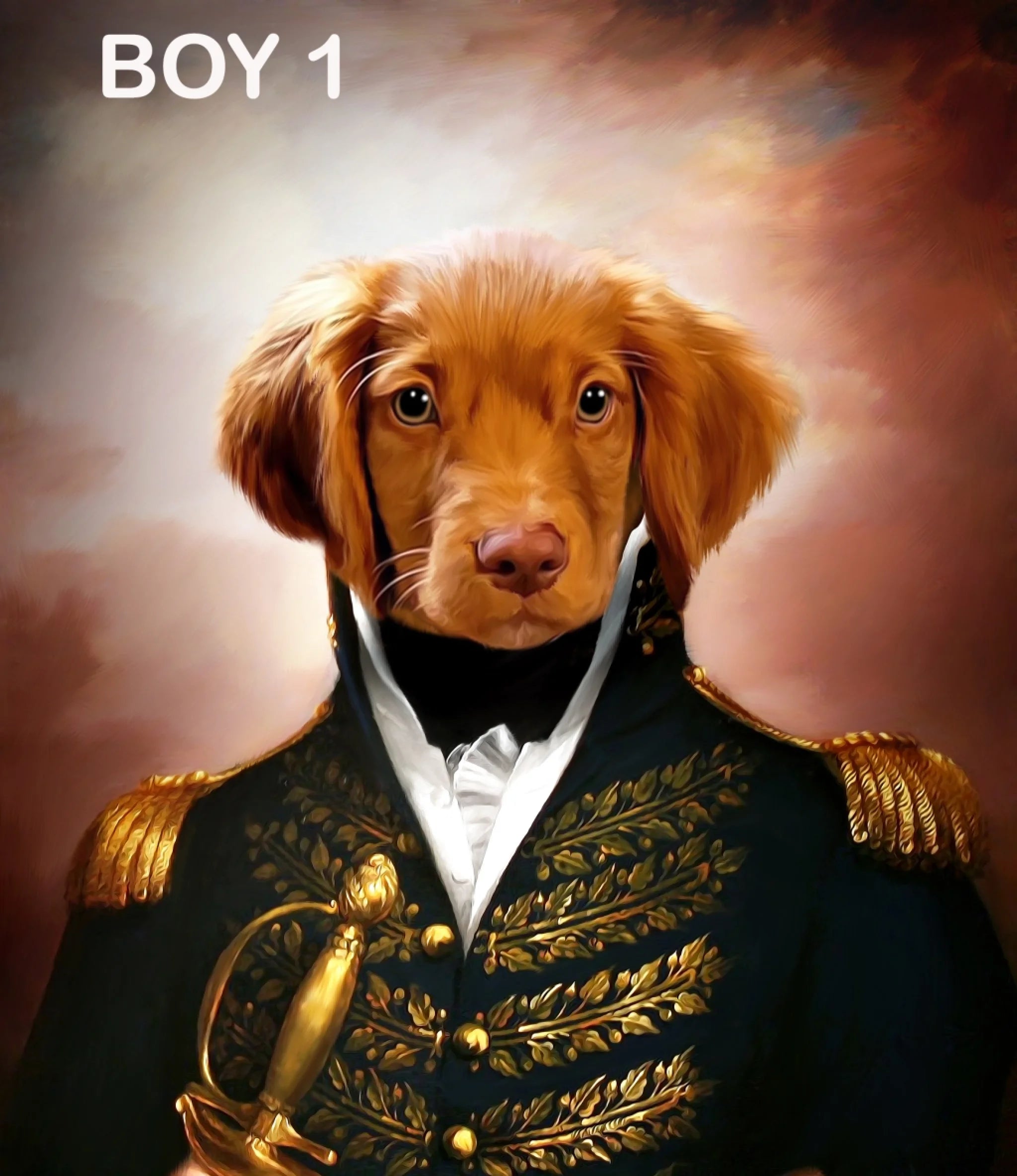 BOY1
