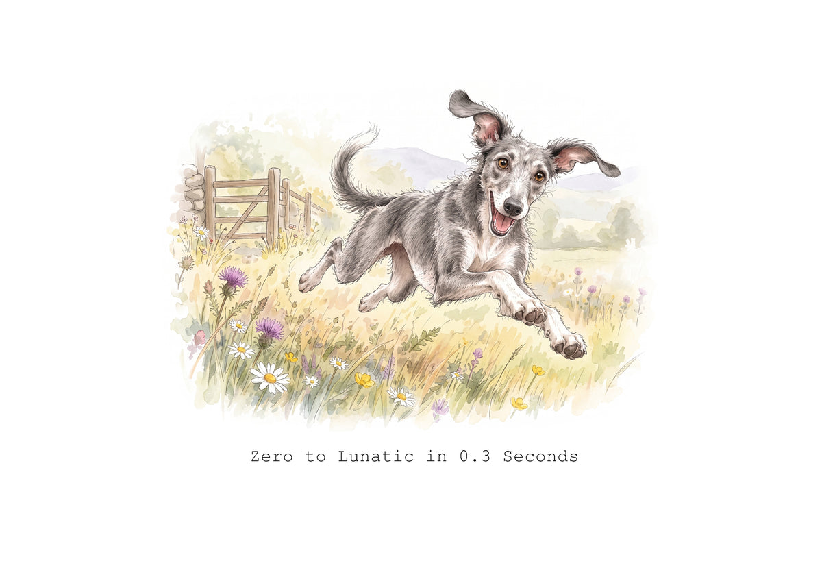 Lurcher Calendar Limited Release