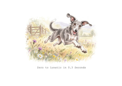 Lurcher Calendar Limited Release