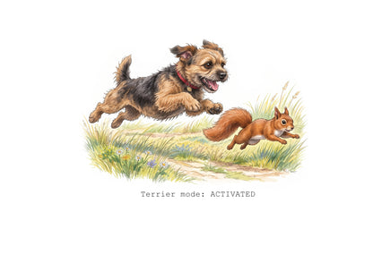 Border Terrier Calendar Limited Release