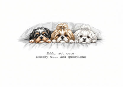 Shih Tzu Calendar Limited Release