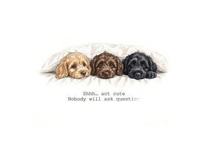 Cavapoo Calendar 2027 Limited Release