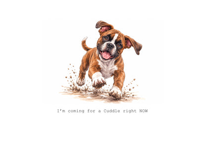 Life is Better with Boxers Calendar Limited Release