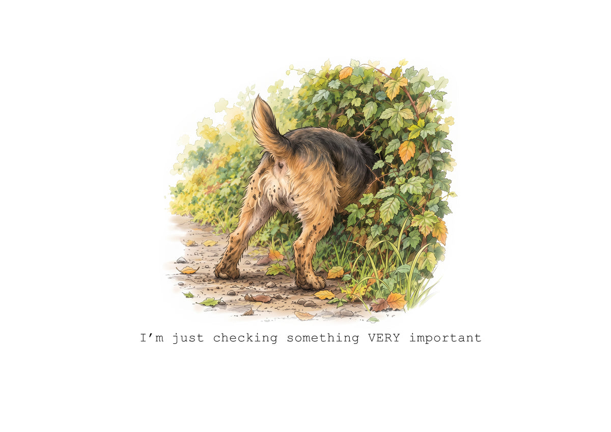 Border Terrier Calendar Limited Release