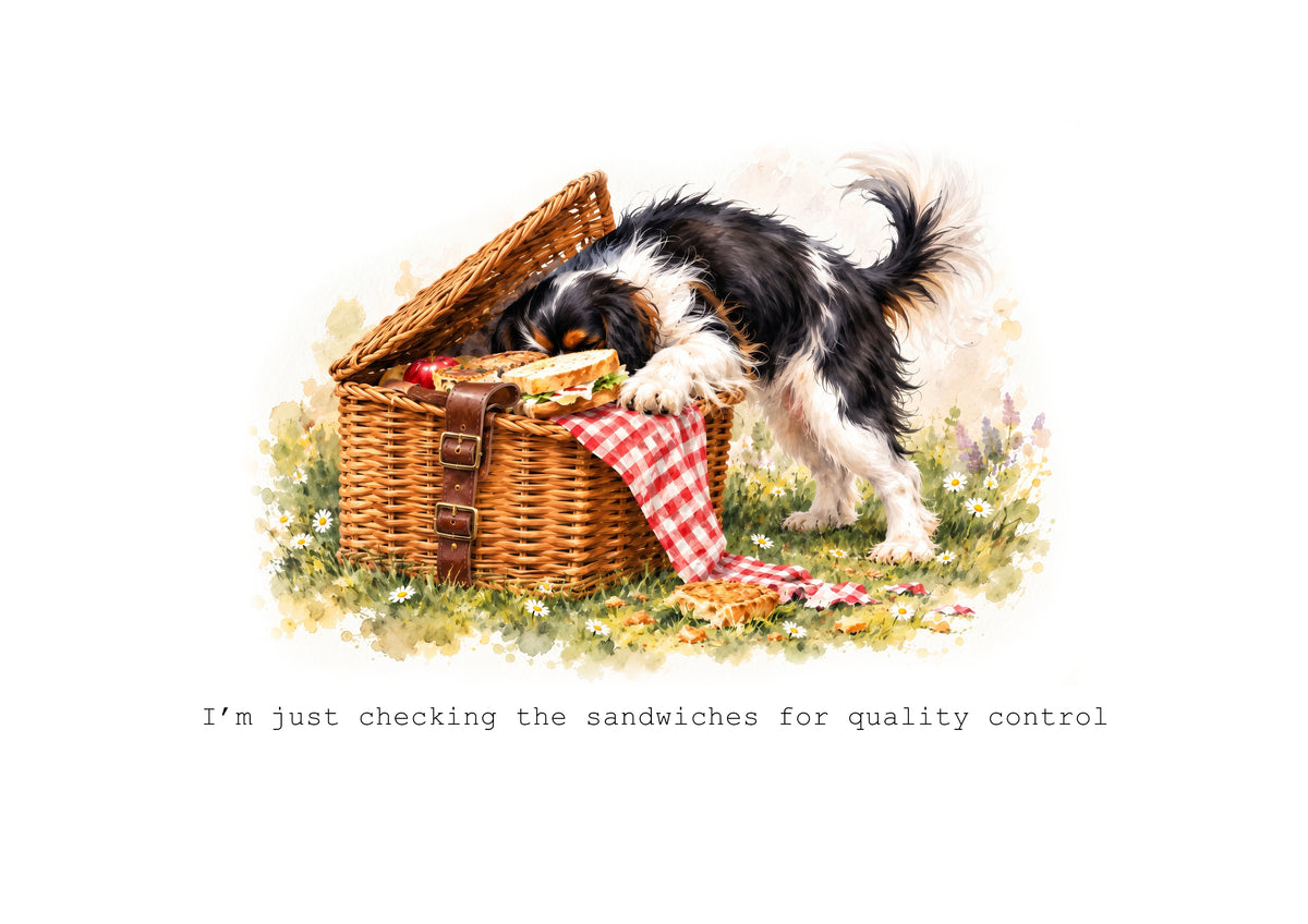 Cavalier King Charles Spaniels Calendar Limited Release