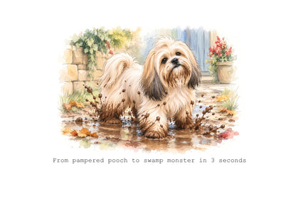Lhasa Apso Calendar 2027 Limited Release