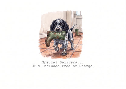 Spring into Spaniels Calendar Limited Release