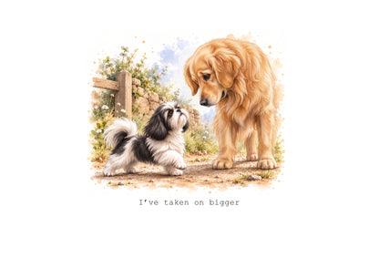 Shih Tzu Calendar Limited Release