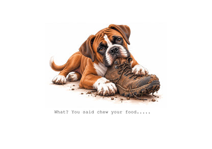 Life is Better with Boxers Calendar Limited Release