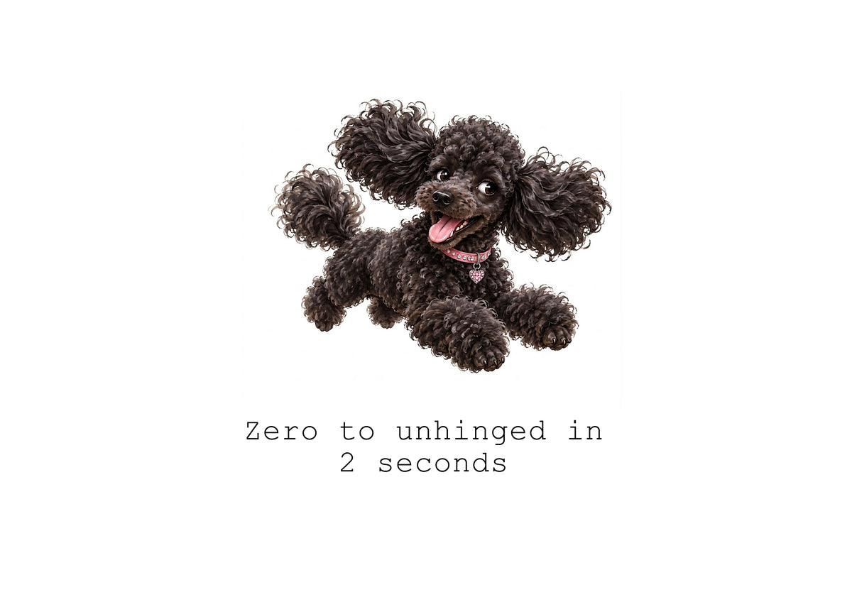 Poodles Calendar Limited Release