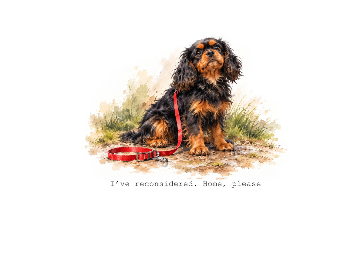 Cavalier King Charles Spaniels Calendar Limited Release