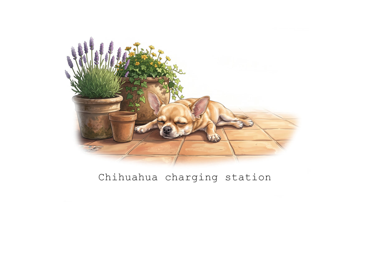Chihuahua Chaos Calendar Limited Release