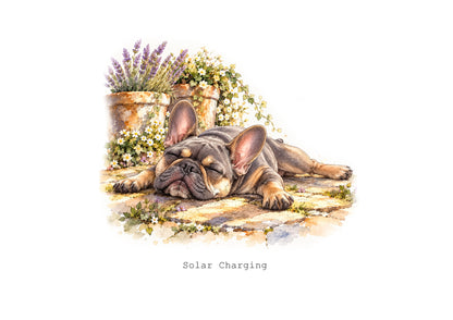 Frenchie Frolics Calendar Limited Release