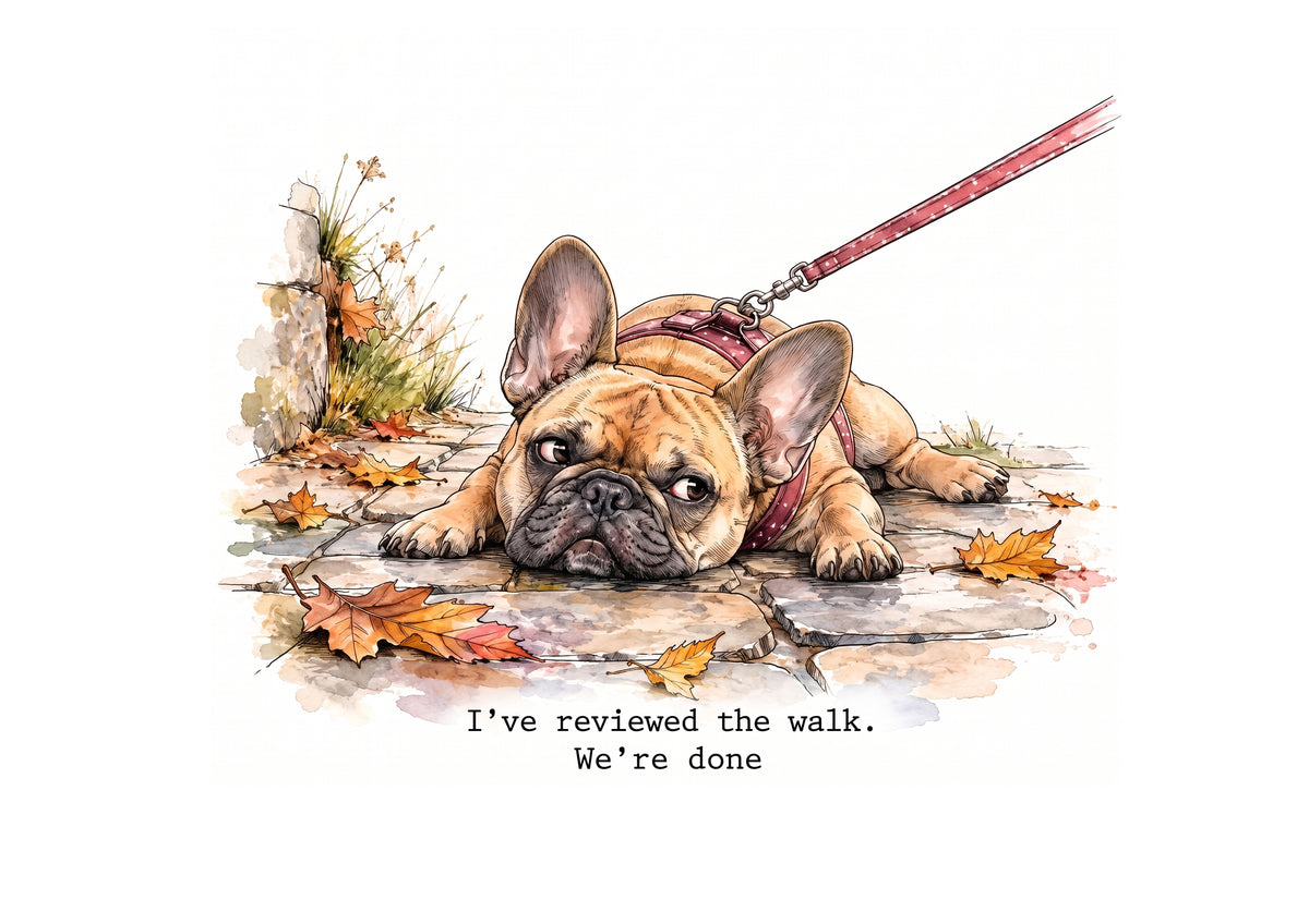 Frenchie Frolics Calendar Limited Release