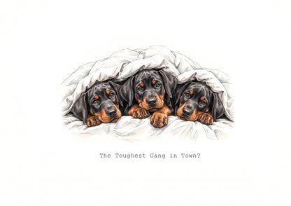 Doberman Calendar 2027 Limited Release