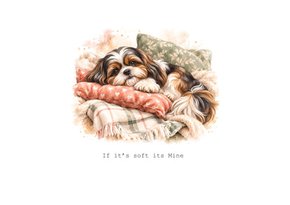 Shih Tzu Calendar Limited Release