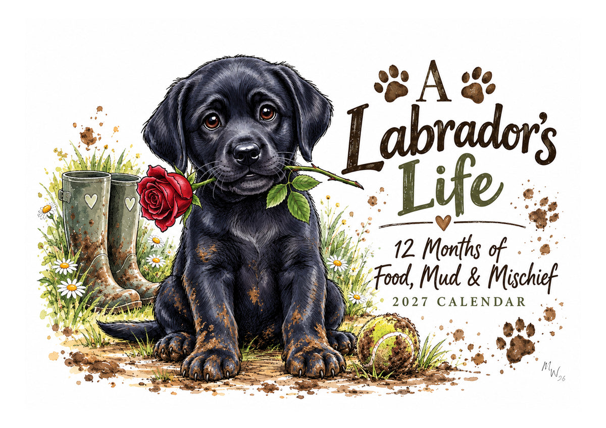 A Labradors Life Calendar Limited Release